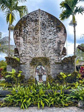 Ubud, Bali, Endonezya 'da orman havuzu ve pirinç terasları. Yüksek kalite fotoğraf