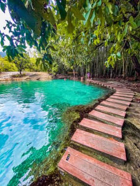 Tayland, Krabi 'deki zümrüt havuz. Yüksek kalite fotoğraf