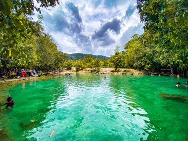 Tayland, Krabi 'deki zümrüt havuz. Yüksek kalite fotoğraf