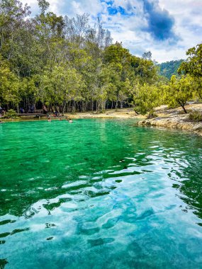 Tayland, Krabi 'deki zümrüt havuz. Yüksek kalite fotoğraf