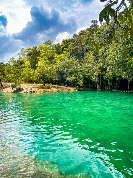 Emerald Pool Krabi Thaïlande Photo Haute Qualité — Photo