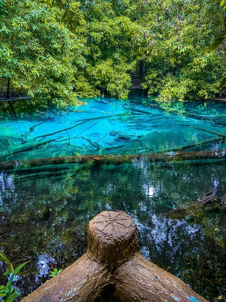 泰国Krabi的翡翠池 高质量的照片 — 图库照片
