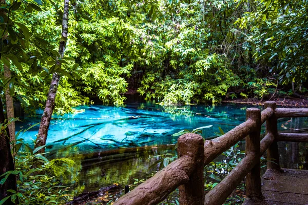 Emerald Pool Krabi Thaïlande Photo Haute Qualité — Photo