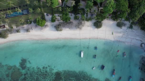 Vista Aérea Haad Tien Beach Bahía Tiburones Koh Tao Tailandia — Vídeos de Stock