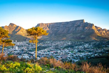 Sinyal Tepesi gün batımı manzarası. Güney Afrika, Batı Burnu 'ndaki Cape Town' da. Yüksek kalite fotoğraf