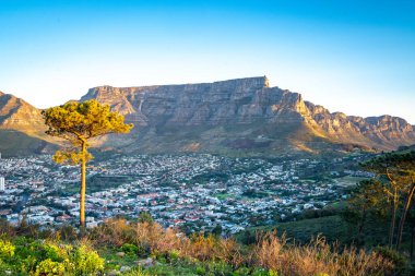 Sinyal Tepesi gün batımı manzarası. Güney Afrika, Batı Burnu 'ndaki Cape Town' da. Yüksek kalite fotoğraf