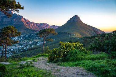 Sinyal Tepesi gün batımı manzarası. Güney Afrika, Batı Burnu 'ndaki Cape Town' da. Yüksek kalite fotoğraf