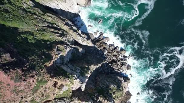 Αεροφωτογραφία Του Chapmans Peak Drive Στο Κέιπ Τάουν Western Cape — Αρχείο Βίντεο