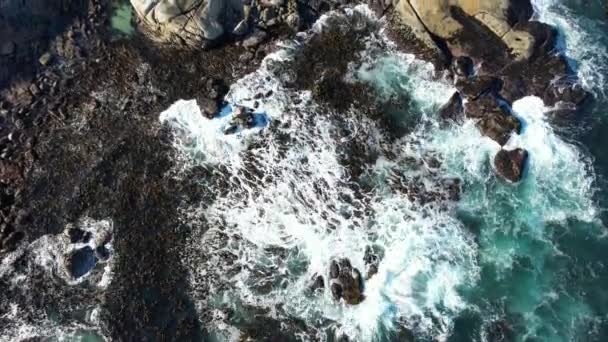 Aerial View Sea Point Kapské Město Západní Kapsko Jihoafrická Republika — Stock video