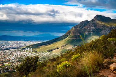 Gün batımında Cape Town 'da Kloof Corner yürüyüşünden Masa Dağı manzarası, Batı Cape, Güney Afrika, Afrika