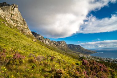 Gün batımında Cape Town 'da Kloof Corner yürüyüşünden Masa Dağı manzarası, Batı Cape, Güney Afrika, Afrika