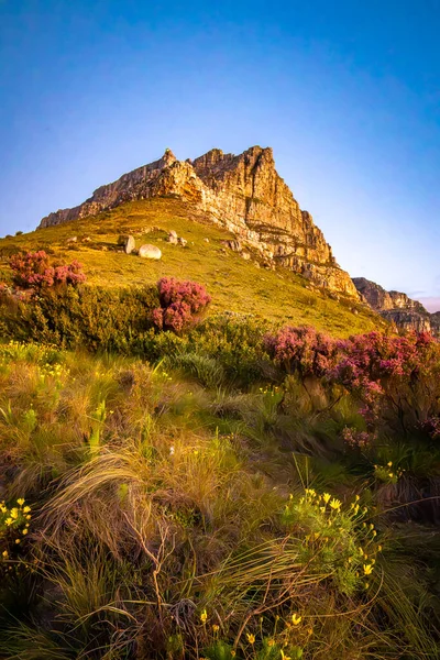 Gün batımında Cape Town 'da Kloof Corner yürüyüşünden Masa Dağı manzarası, Batı Cape, Güney Afrika, Afrika