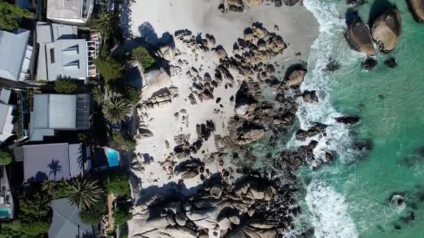 Vista Aérea Playa Clifton Ciudad Del Cabo Cabo Occidental Sudáfrica — Vídeos de Stock