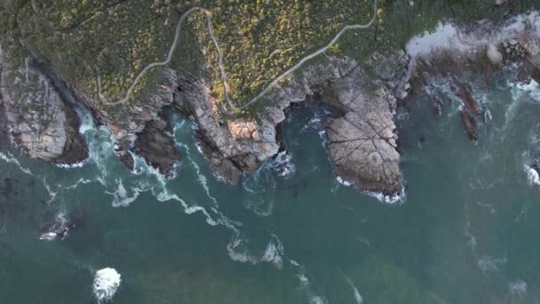 Widok Lotu Ptaka Wybrzeże Hermanus Przylądek Zachodni Republika Południowej Afryki — Wideo stockowe
