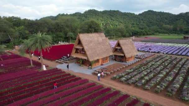 Květinová Zahrada Park Hokkaido Khao Yai Thajsko Jihovýchodní Asie — Stock video