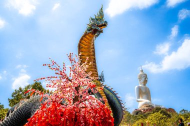 Wat Roi Phutthabat Phu Manorom, Mukdahan, Tayland, Güneydoğu Asya