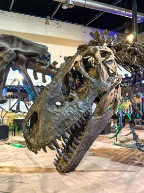 Kalasin, Tayland 'daki Sirindhorn Dinozor Müzesi. Yüksek kalite fotoğraf