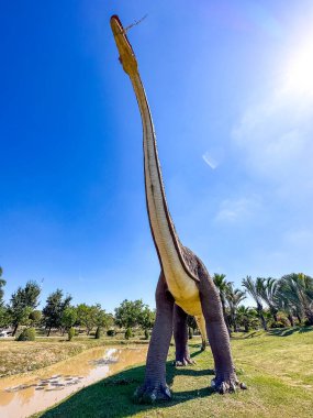 Kalasin, Tayland 'daki Kaeng Don Klang Parkı. Yüksek kalite fotoğraf