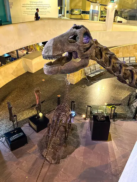 Kalasin, Tayland 'daki Sirindhorn Dinozor Müzesi. Yüksek kalite fotoğraf