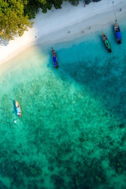 Tayland, Krabi 'deki Koh Phi Adası' ndaki maymun kumsalı manzarası.