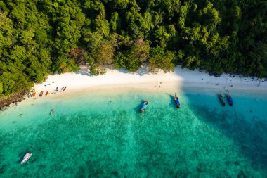 Tayland, Krabi 'deki Koh Phi Adası' ndaki maymun kumsalı manzarası.
