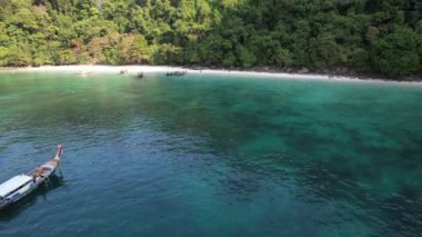 Tayland, Krabi 'deki Koh Phi Adası' ndaki maymun kumsalı manzarası.