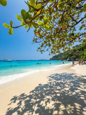 Phang Nga, Tayland 'daki Similan Adası, Güney Doğu Asya