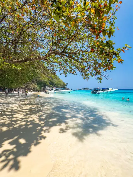 Phang Nga, Tayland 'daki Similan Adası, Güney Doğu Asya