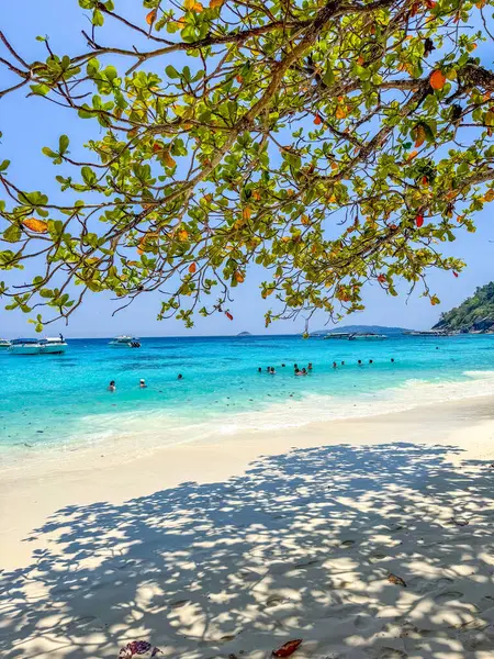 Phang Nga, Tayland 'daki Similan Adası, Güney Doğu Asya