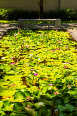 Phuket Tayland 'daki Mai Khao Plaj Tatil Köyü. Yüksek kalite fotoğraf