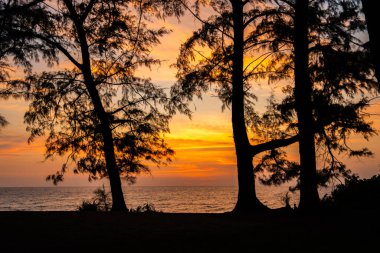 Phuket Tayland 'daki Mai Khao Plaj Tatil Köyü' ndeki sahil barında gün batımı. Yüksek kalite fotoğraf