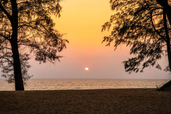 Phuket Tayland 'daki Mai Khao Plaj Tatil Köyü' ndeki sahil barında gün batımı. Yüksek kalite fotoğraf