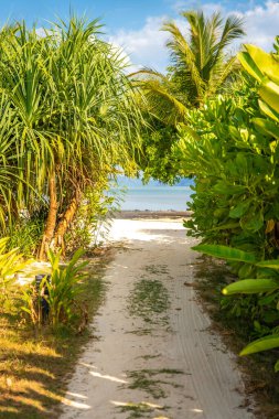 Koh yao noi, Phang Nga, Tayland, Güney Doğu Asya 'daki Cennet Sahili manzarası