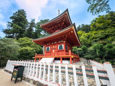 Katsuoji, Daruma Bebekleri Tapınağı, Japonya. Yüksek kalite fotoğraf