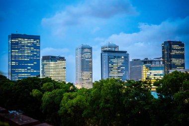 Osaka Kalesi 'nin Japonya' daki manzarası. Yüksek kalite fotoğraf