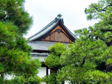 Japonya, Kyoto 'da yağmurun altında Nijo Kalesi. Yüksek kalite fotoğraf