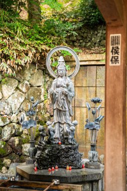 Katsuoji, Daruma Bebekleri Tapınağı, Japonya. Yüksek kalite fotoğraf