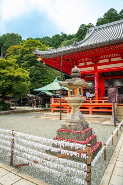 Katsuoji, Daruma Bebekleri Tapınağı, Japonya. Yüksek kalite fotoğraf