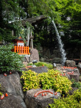 Katsuoji, Daruma Bebekleri Tapınağı, Japonya. Yüksek kalite fotoğraf