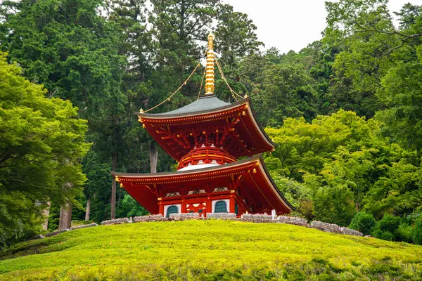 Katsuoji, Daruma Bebekleri Tapınağı, Japonya. Yüksek kalite fotoğraf