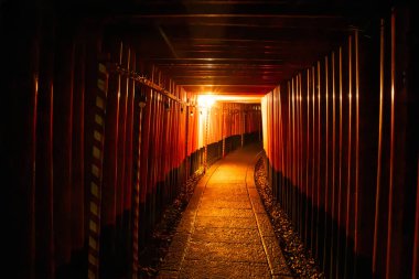 Fushimi Inari Taisha, geceleyin, Kyoto, Japonya 'da. Yüksek kalite fotoğraf