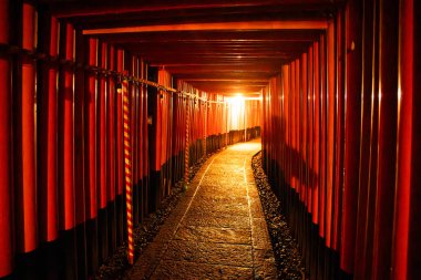 Fushimi Inari Taisha, geceleyin, Kyoto, Japonya 'da. Yüksek kalite fotoğraf