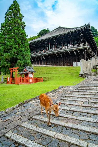 Japonya, Nara 'daki Todaiji Nigatsudo Şubat Hall Tapınağı. Yüksek kalite fotoğraf