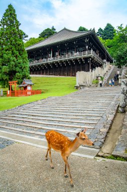 Japonya, Nara 'daki Todaiji Nigatsudo Şubat Hall Tapınağı. Yüksek kalite fotoğraf