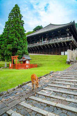 Japonya, Nara 'daki Todaiji Nigatsudo Şubat Hall Tapınağı. Yüksek kalite fotoğraf