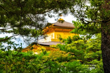 Kinkakuji, Altın Pavyon kuzey Kyoto 'da bir Zen tapınağıdır. Üst iki katı tamamen altın yapraklarla kaplıdır.. 