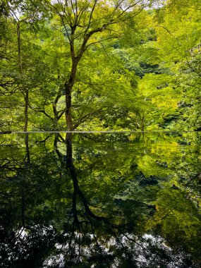 Japonya, Arashiyama Kyoto 'da çiçeklerle Japon bahçe manzarası. Yüksek kalite fotoğraf