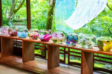 Japonya, Arashiyama Kyoto 'da çiçeklerle Japon bahçe manzarası. Yüksek kalite fotoğraf