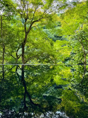 Japonya, Arashiyama Kyoto 'da çiçeklerle Japon bahçe manzarası. Yüksek kalite fotoğraf