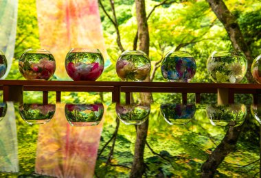 Japonya, Arashiyama Kyoto 'da çiçeklerle Japon bahçe manzarası. Yüksek kalite fotoğraf